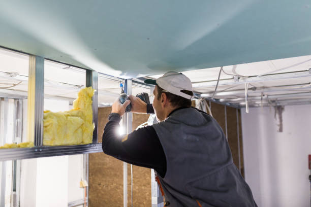 Best Geographic-Specific Insulation Services in Wheatley Heights, NY
